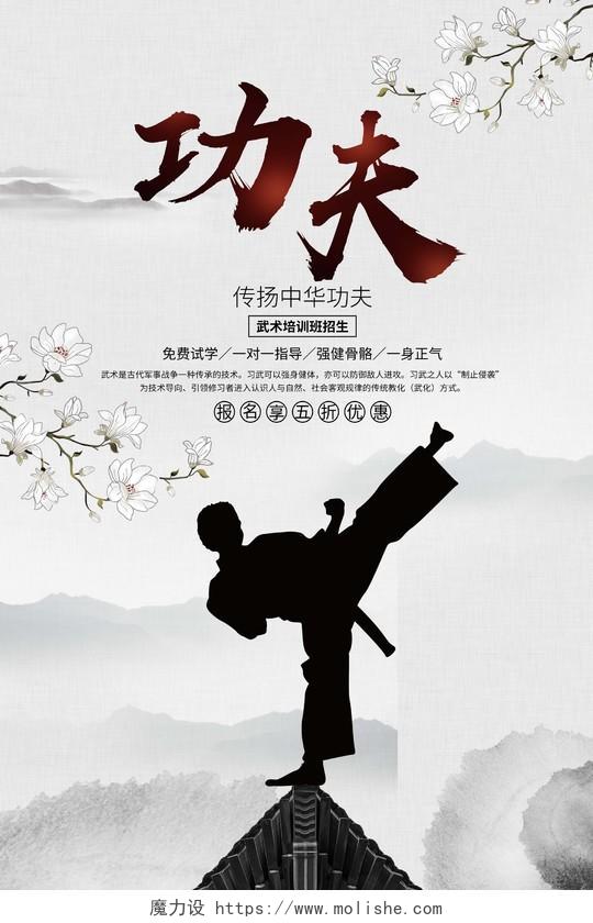 中国风健身武术培训招生宣传海报